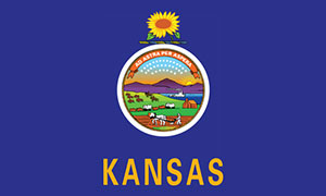 Kansas Flag